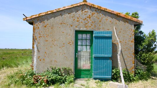 Maison à vendre à Nieulle-sur-Seudre vignette-3