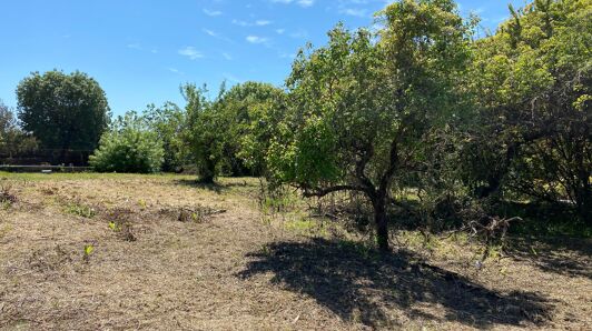 Terrain à vendre                 à Le Cannet                 - Garibondy