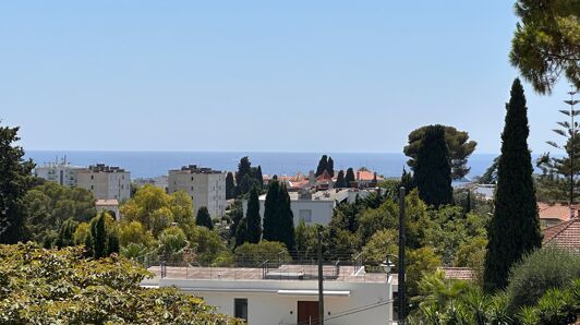 Appartement à vendre                 à Cannes                 - Californie Pezou