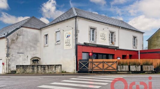 Local commercial à vendre à La Chapelle-Saint-Ursin vignette-16