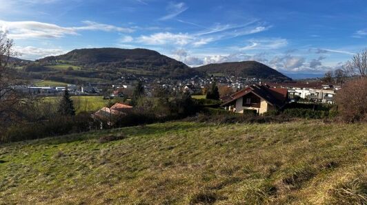 Terrain à vendre à Villy-le-Pelloux vignette-5